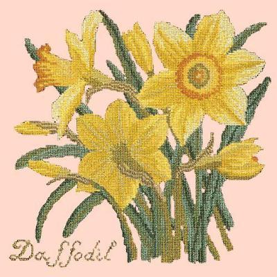 Daffodil Needlepoint Kit Kits Elizabeth Bradley Design Salmon Pink 
