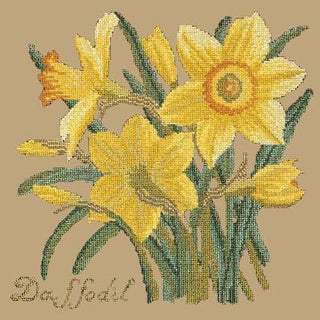 Daffodil Needlepoint Kit Kits Elizabeth Bradley Design Sand 
