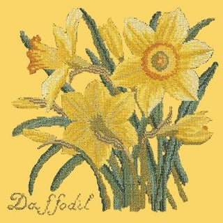 Daffodil Needlepoint Kit Kits Elizabeth Bradley Design Sunflower Yellow 
