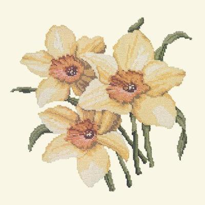 Daffodils Needlepoint Kit Kits Elizabeth Bradley Design 