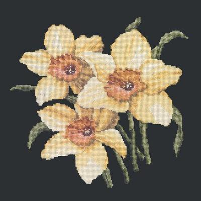 Daffodils Needlepoint Kit Kits Elizabeth Bradley Design Black 
