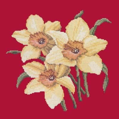 Daffodils Needlepoint Kit Kits Elizabeth Bradley Design Bright Red 
