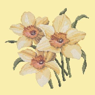 Daffodils Needlepoint Kit Kits Elizabeth Bradley Design Butter Yellow 