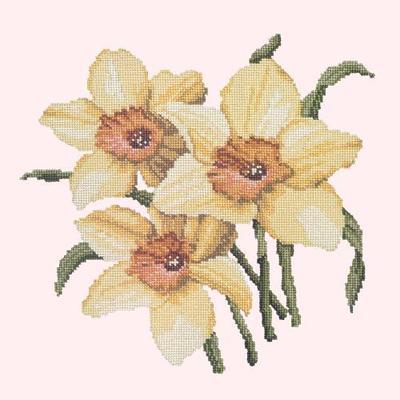 Daffodils Needlepoint Kit Kits Elizabeth Bradley Design Cream 