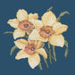 Daffodils Needlepoint Kit Kits Elizabeth Bradley Design Dark Blue 