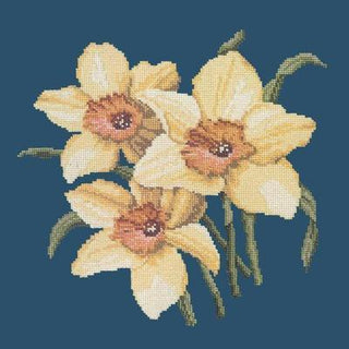 Daffodils Needlepoint Kit Kits Elizabeth Bradley Design Dark Blue 

