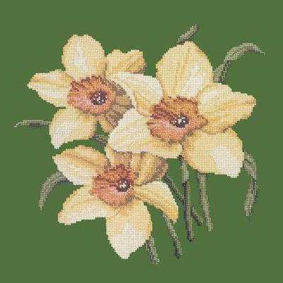 Daffodils Needlepoint Kit Kits Elizabeth Bradley Design Dark Green 
