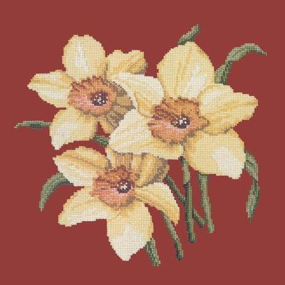 Daffodils Needlepoint Kit Kits Elizabeth Bradley Design Dark Red 

