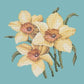Daffodils Needlepoint Kit Kits Elizabeth Bradley Design Duck Egg Blue 
