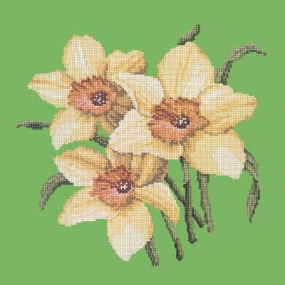 Daffodils Needlepoint Kit Kits Elizabeth Bradley Design Grass Green 
