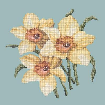Daffodils Needlepoint Kit Kits Elizabeth Bradley Design Pale Blue 
