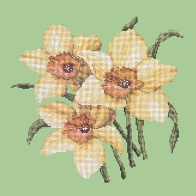 Daffodils Needlepoint Kit Kits Elizabeth Bradley Design Pale Green 