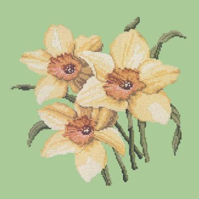 Daffodils Needlepoint Kit Kits Elizabeth Bradley Design Pale Green 
