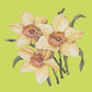 Daffodils Needlepoint Kit Kits Elizabeth Bradley Design Pale Lime 