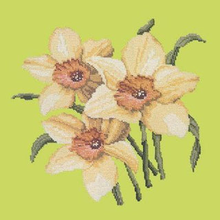 Daffodils Needlepoint Kit Kits Elizabeth Bradley Design Pale Lime 
