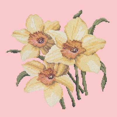 Daffodils Needlepoint Kit Kits Elizabeth Bradley Design Pale Rose 
