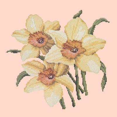 Daffodils Needlepoint Kit Kits Elizabeth Bradley Design Salmon Pink 