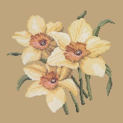 Daffodils Needlepoint Kit Kits Elizabeth Bradley Design Sand 