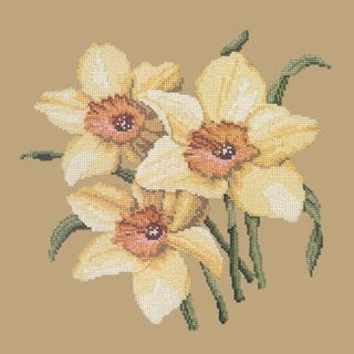 Daffodils Needlepoint Kit Kits Elizabeth Bradley Design Sand 
