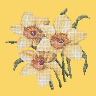 Daffodils Needlepoint Kit Kits Elizabeth Bradley Design Sunflower Yellow 
