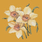 Daffodils Needlepoint Kit Kits Elizabeth Bradley Design Yellow 