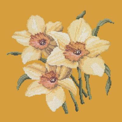 Daffodils Needlepoint Kit Kits Elizabeth Bradley Design Yellow 
