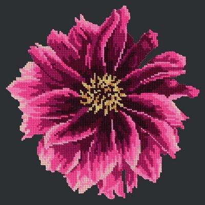 Dahlia 12" Needlepoint Kit Kits Elizabeth Bradley Design Black 
