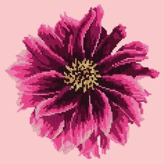 Dahlia 12" Needlepoint Kit Kits Elizabeth Bradley Design Pale Rose 

