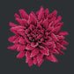 Dahlia Needlepoint Kit Kits Elizabeth Bradley Design Black 