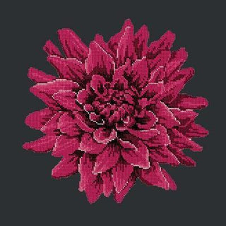 Dahlia Needlepoint Kit Kits Elizabeth Bradley Design Black 
