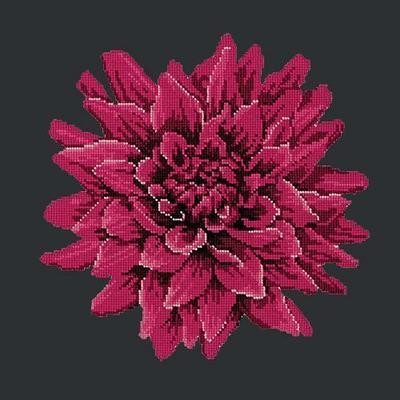 Dahlia Needlepoint Kit Kits Elizabeth Bradley Design Black 
