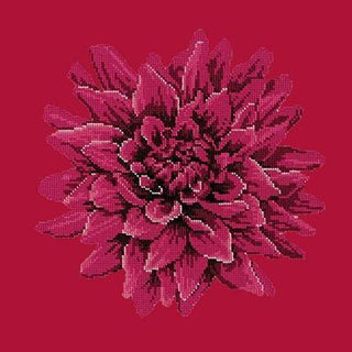 Dahlia Needlepoint Kit Kits Elizabeth Bradley Design Bright Red 
