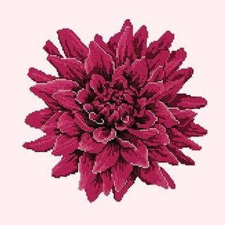 Dahlia Needlepoint Kit Kits Elizabeth Bradley Design Cream 
