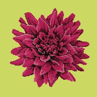 Dahlia Needlepoint Kit Kits Elizabeth Bradley Design Pale Lime 
