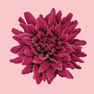 Dahlia Needlepoint Kit Kits Elizabeth Bradley Design Pale Rose 
