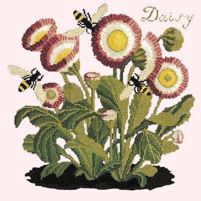 Daisy Needlepoint Kit Kits Elizabeth Bradley Design Cream 