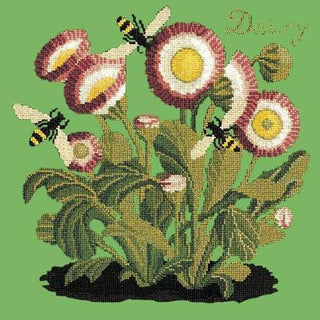 Daisy Needlepoint Kit Kits Elizabeth Bradley Design Grass Green 
