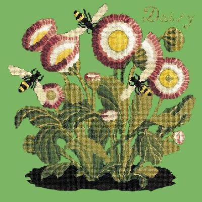 Daisy Needlepoint Kit Kits Elizabeth Bradley Design Grass Green 
