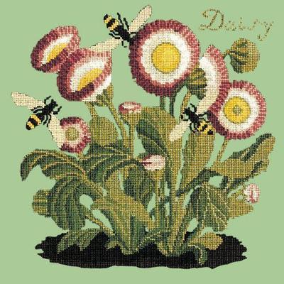 Daisy Needlepoint Kit Kits Elizabeth Bradley Design Pale Green 
