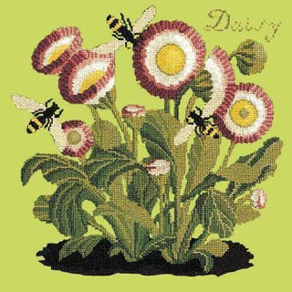 Daisy Needlepoint Kit Kits Elizabeth Bradley Design Pale Lime 
