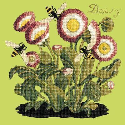 Daisy Needlepoint Kit Kits Elizabeth Bradley Design Pale Lime 

