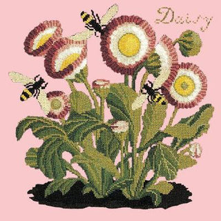 Daisy Needlepoint Kit Kits Elizabeth Bradley Design Pale Rose 
