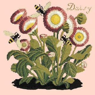 Daisy Needlepoint Kit Kits Elizabeth Bradley Design Salmon Pink 
