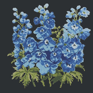 Delphinium Kits Elizabeth Bradley Design Black 
