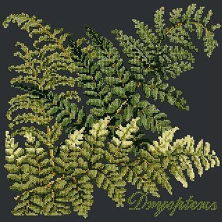 Dryopteris Needlepoint Kit Kits Elizabeth Bradley Design Black 
