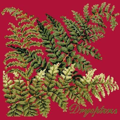 Dryopteris Needlepoint Kit Kits Elizabeth Bradley Design Bright Red 
