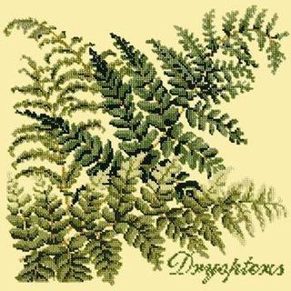 Dryopteris Needlepoint Kit Kits Elizabeth Bradley Design Butter Yellow 
