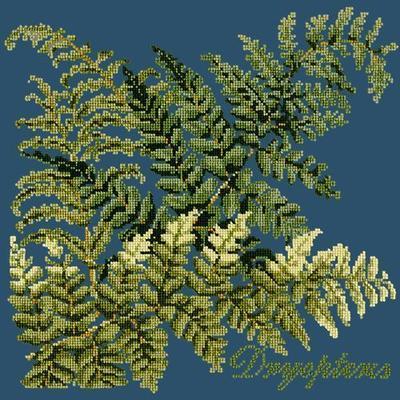 Dryopteris Needlepoint Kit Kits Elizabeth Bradley Design Dark Blue 
