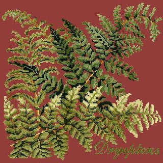 Dryopteris Needlepoint Kit Kits Elizabeth Bradley Design Dark Red 
