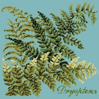 Dryopteris Needlepoint Kit Kits Elizabeth Bradley Design Duck Egg Blue 
